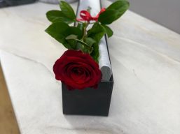 Valentine - Love Single Rose